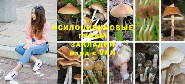spice Белокуриха