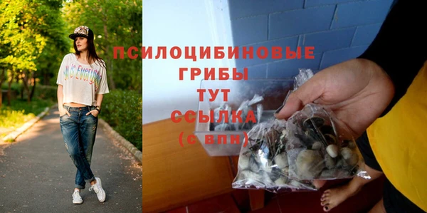 spice Белокуриха