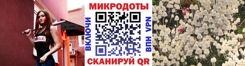 Купить закладки  Курлово  Галлюциногенные грибы Cubensis 